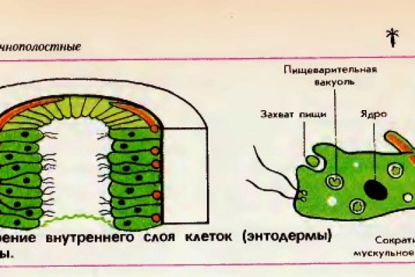 Как вернуть аккаунт кракен