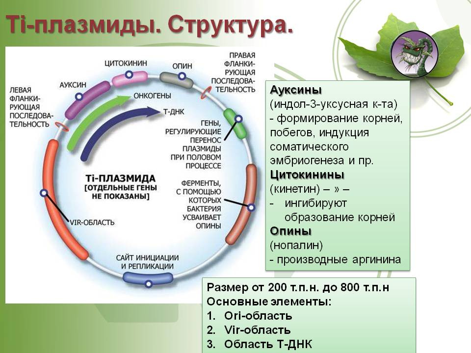 Кракен даркнет плейс