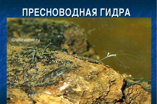 Кракен переходник ссылка